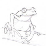 Frog study